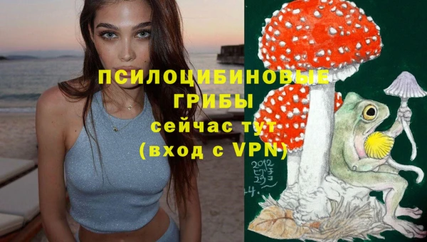 гидропоника Балахна